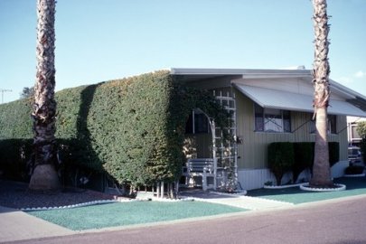Image related to Landscaping for Shade